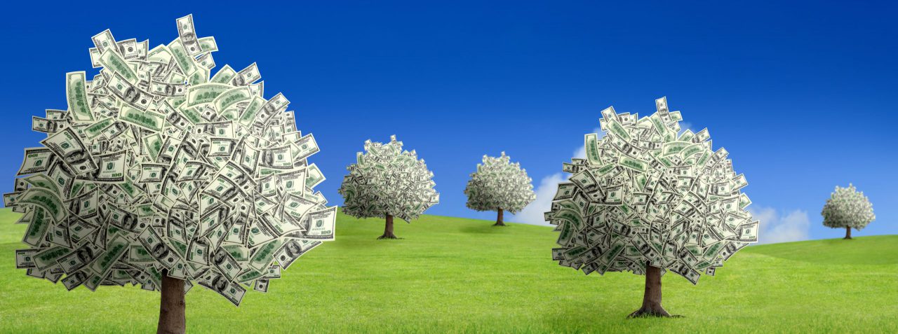 Puur Advies | Vermogen & Opbouw