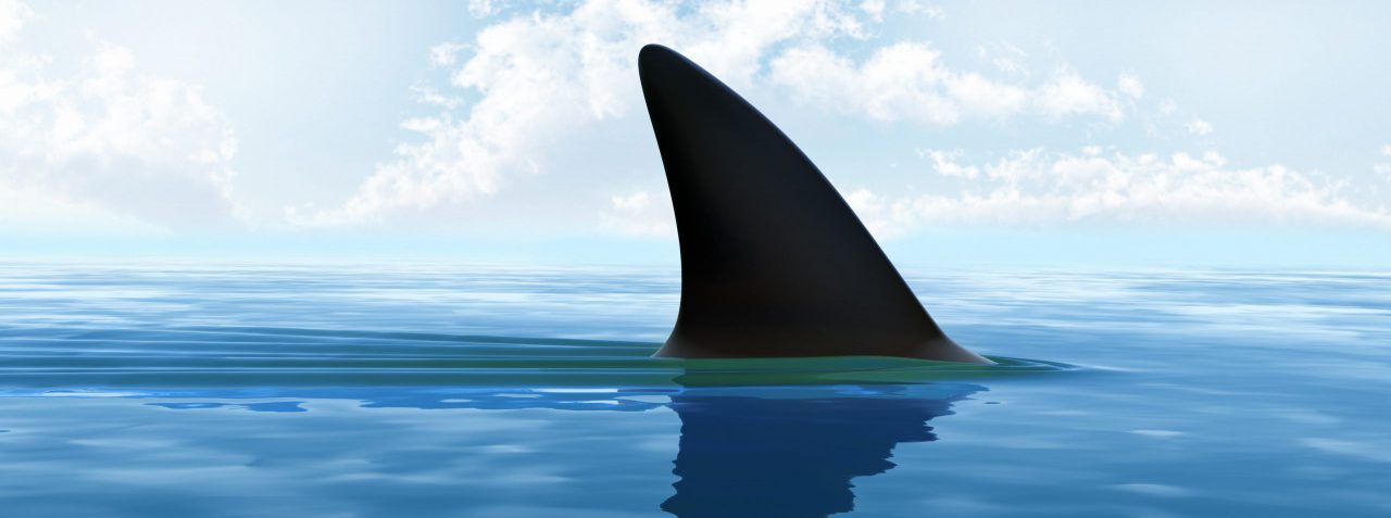 Puur Advies | Risico's & Overlijden