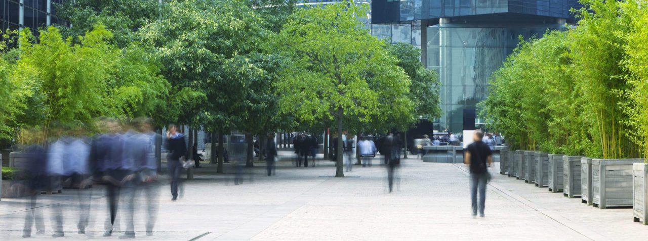 Puur Advies | Helder Financieel Inzicht